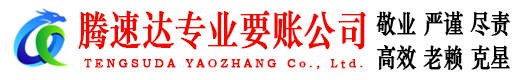 肥西腾速达清债公司